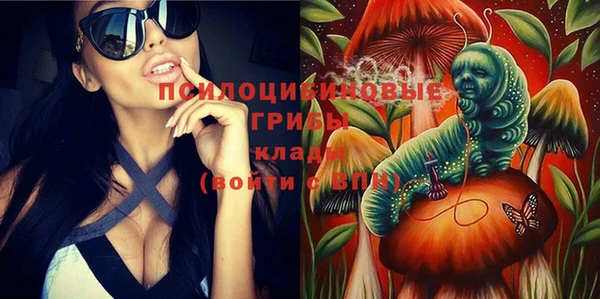 ГАЛЛЮЦИНОГЕННЫЕ ГРИБЫ Балахна